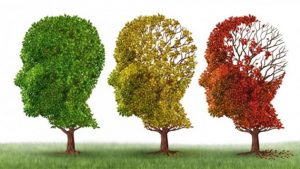 Bệnh mất trí nhớ Alzheimer - Mũi tên trống 3-6-9
